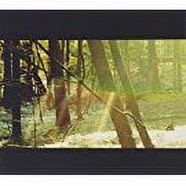 Glassnote Music Childish Gambino Awaken My Love Audio CD (Standard Edition) gD0Ca